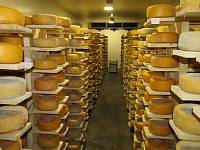 ������ ��������� � 